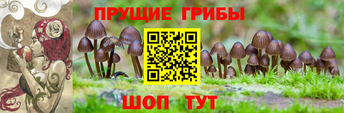 как найти закладки  Галлюциногенные грибы Cubensis  Вход с VPN  Алатырь 